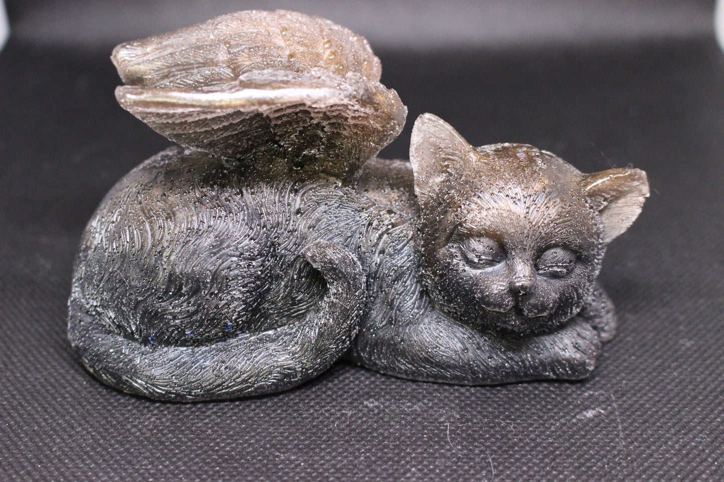 Cat with wings