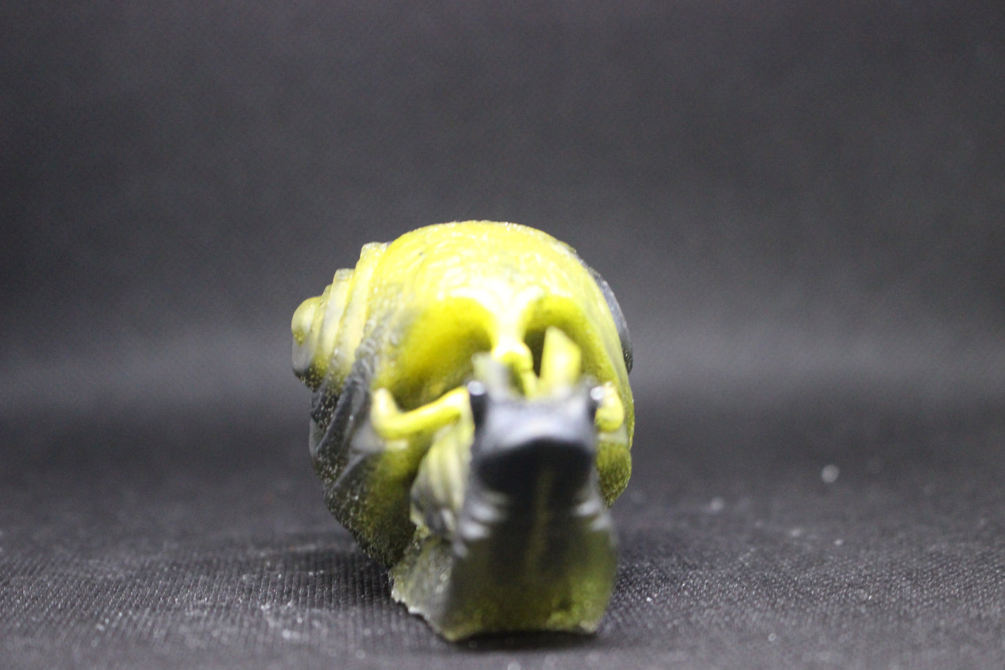 Skull Snail Handmade Resin Decor for Unique Art Lovers