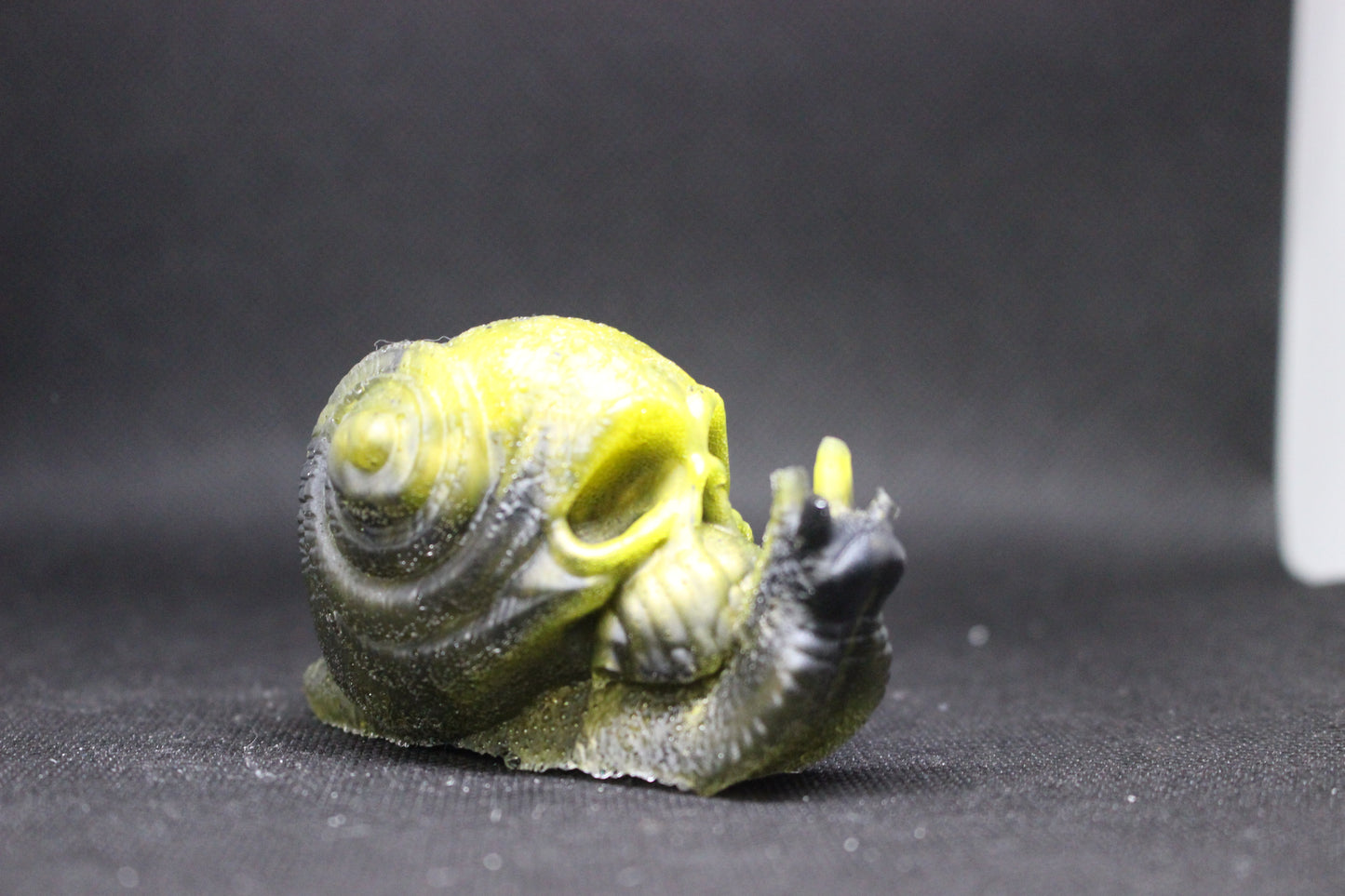 Skull Snail Handmade Resin Decor for Unique Art Lovers