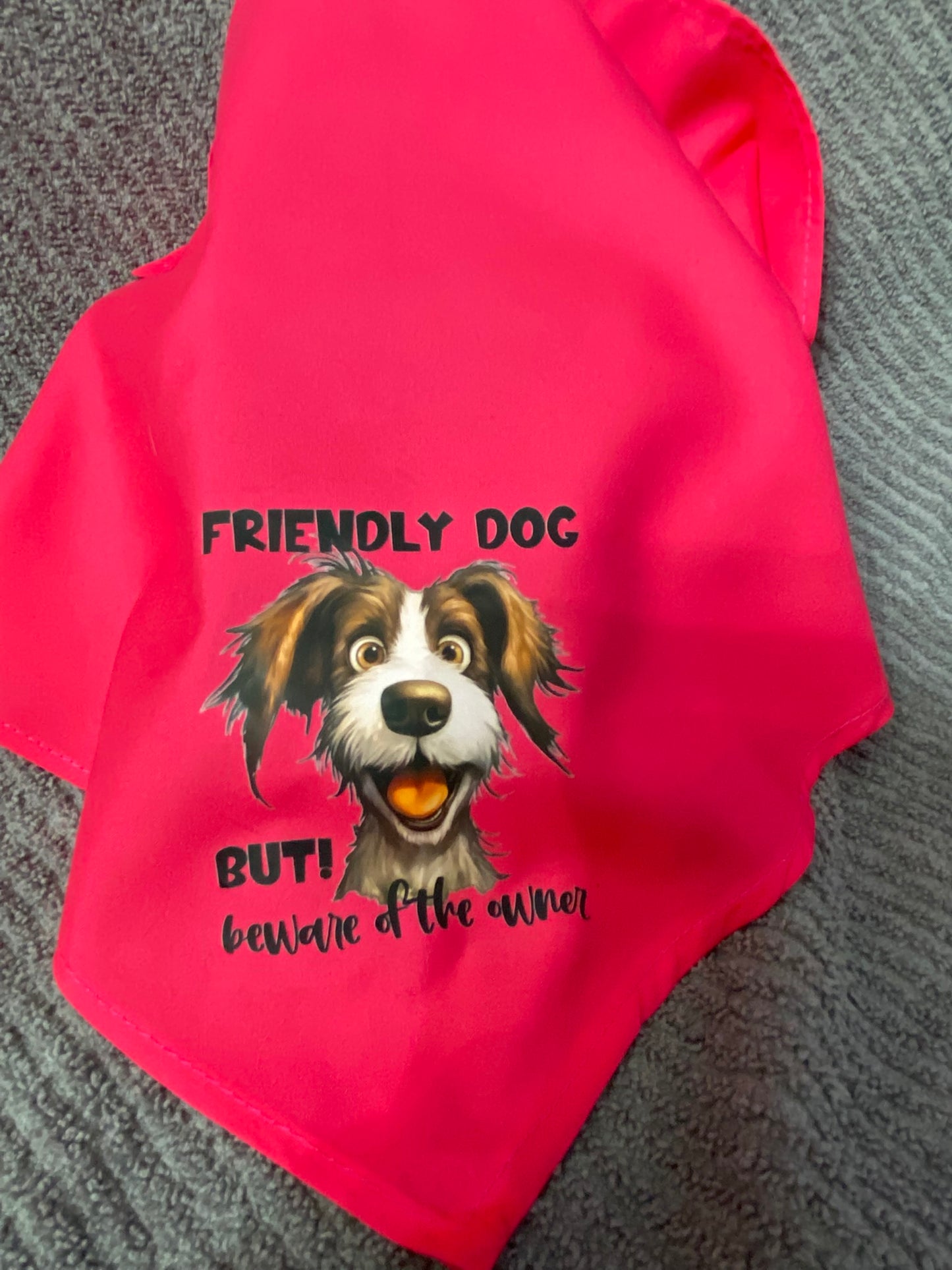 Dog Bandana - Friendly Dog for Stylish Pets Outdoors